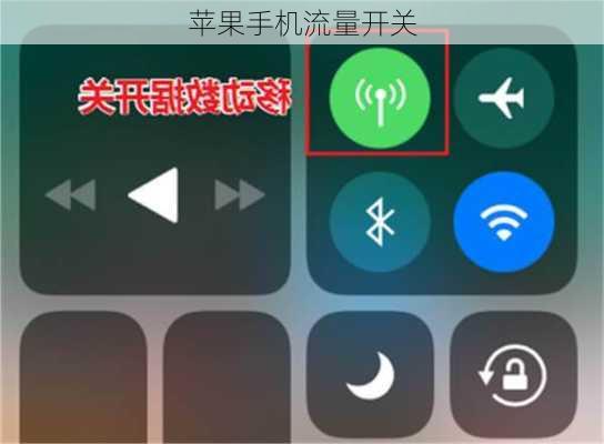 苹果手机流量开关