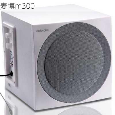 麦博m300