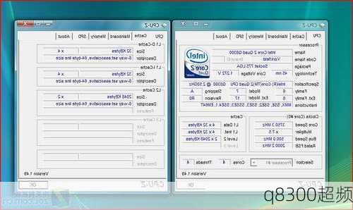 q8300超频