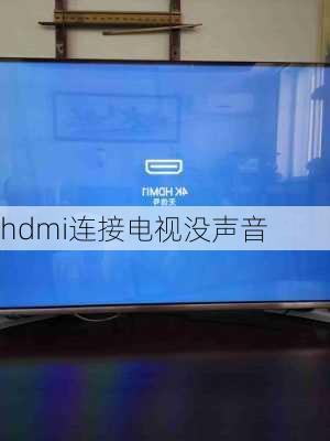 hdmi连接电视没声音