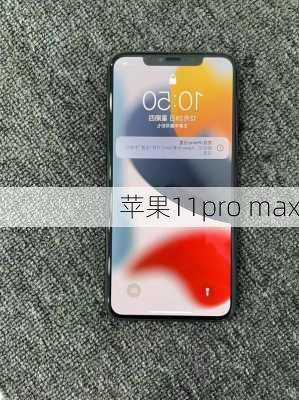 苹果11pro max