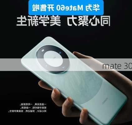 mate 30