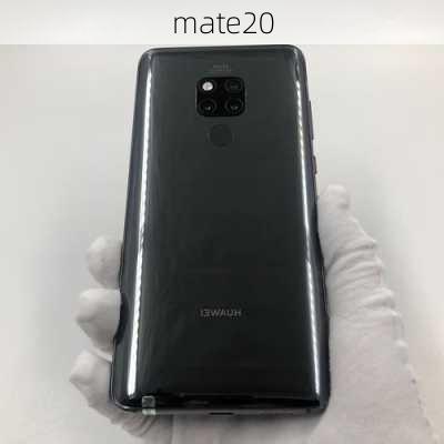 mate20