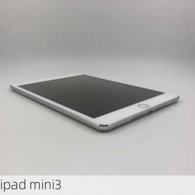 ipad mini3