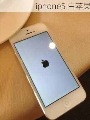 iphone5 白苹果