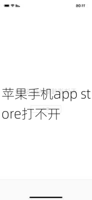 苹果手机app store打不开