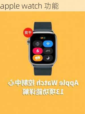 apple watch 功能