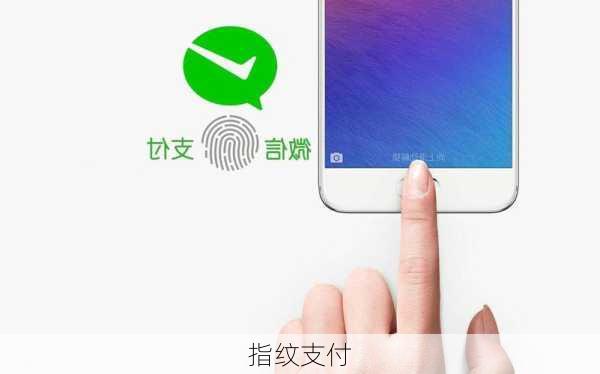 指纹支付