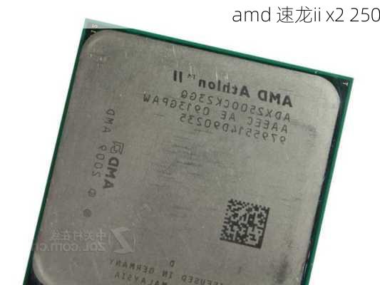 amd 速龙ii x2 250