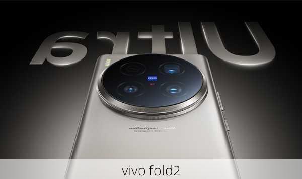 vivo fold2