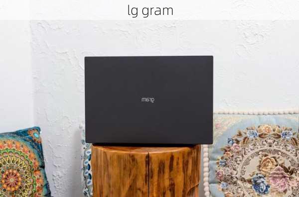 lg gram