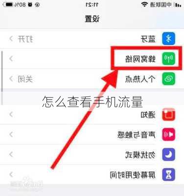 怎么查看手机流量