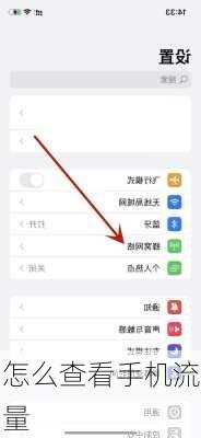 怎么查看手机流量