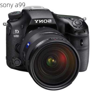 sony a99