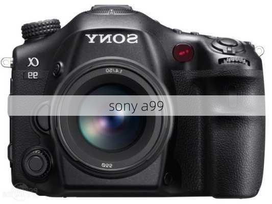 sony a99