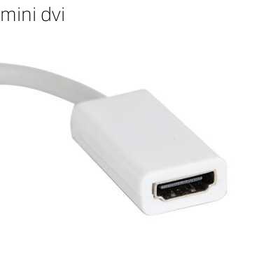 mini dvi