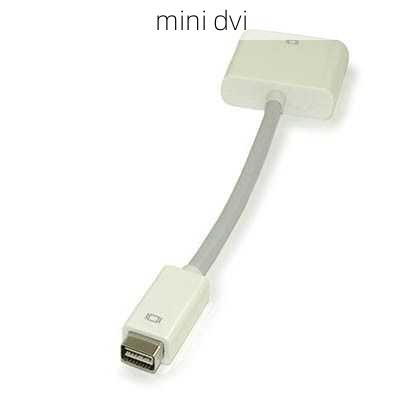 mini dvi