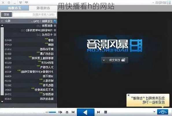 用快播看h的网站