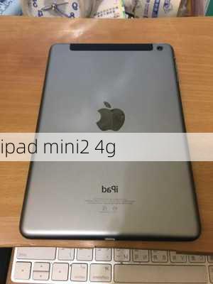 ipad mini2 4g