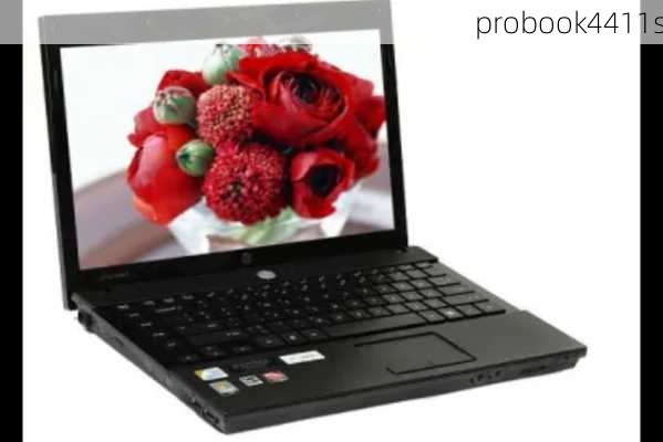 probook4411s