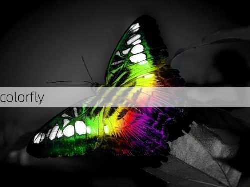 colorfly