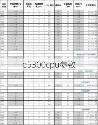 e5300cpu参数