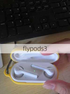 flypods3