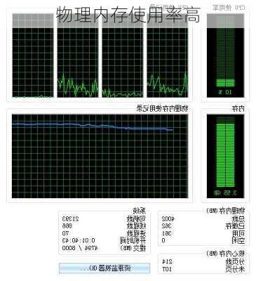 物理内存使用率高