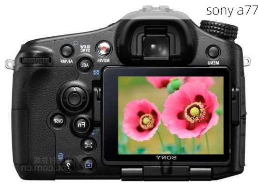 sony a77