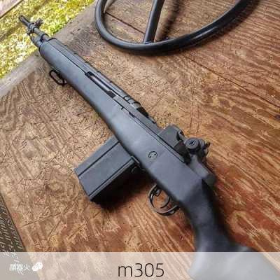 m305