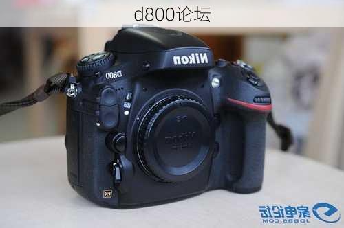 d800论坛