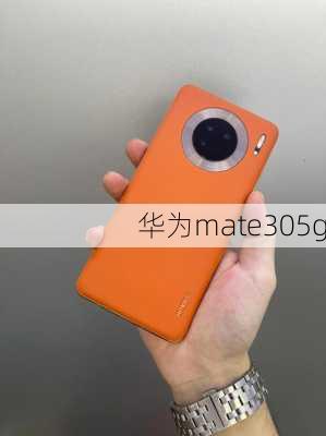 华为mate305g