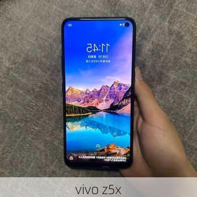 vivo z5x