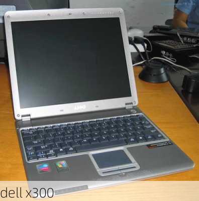 dell x300