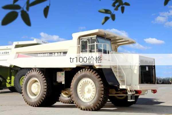 tr100价格