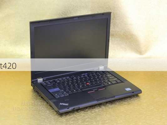 t420