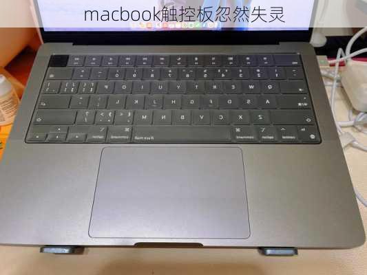 macbook触控板忽然失灵