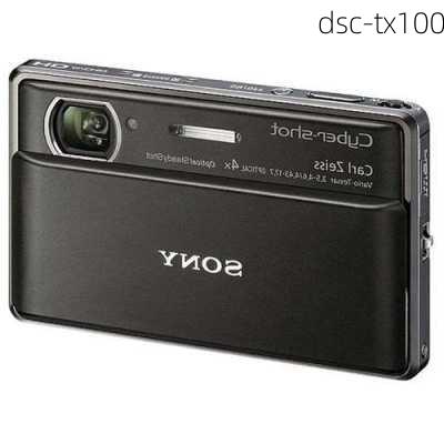 dsc-tx100