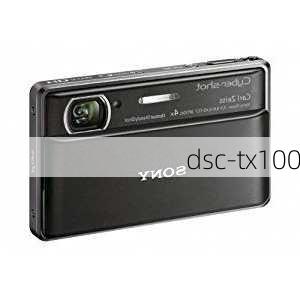 dsc-tx100