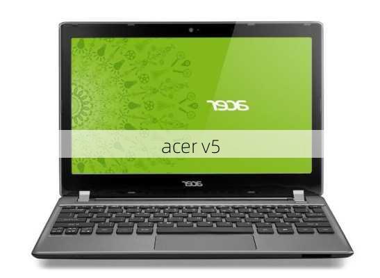 acer v5