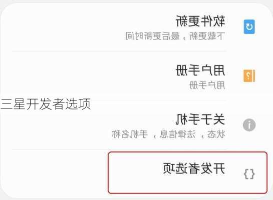 三星开发者选项