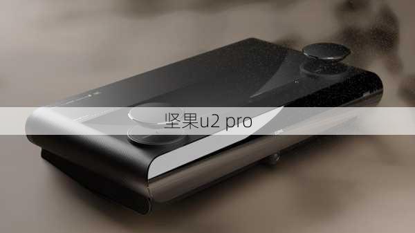 坚果u2 pro