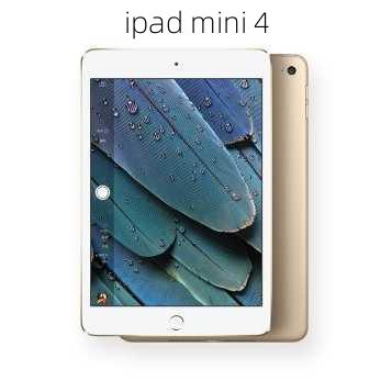 ipad mini 4