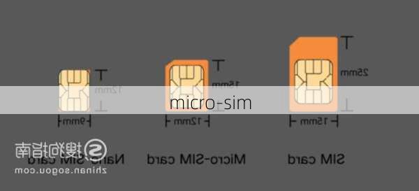 micro-sim