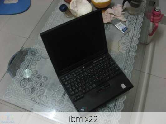 ibm x22