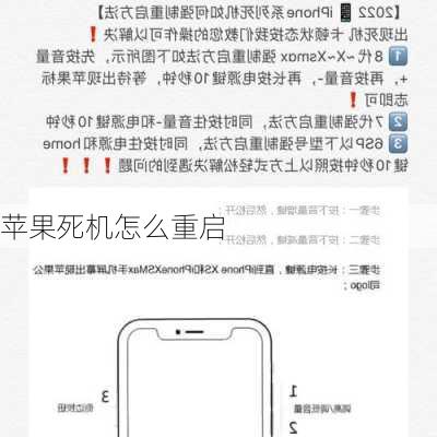 苹果死机怎么重启