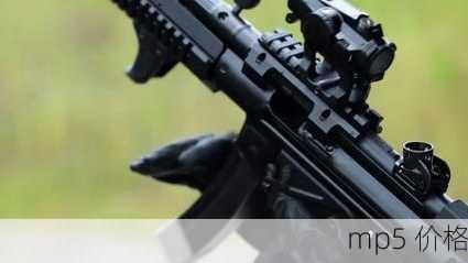 mp5 价格