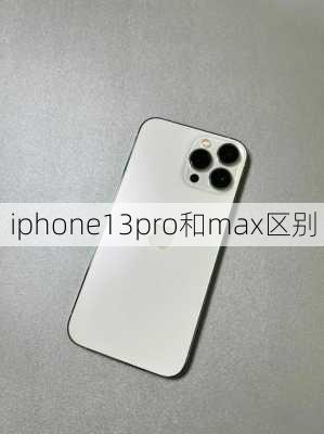 iphone13pro和max区别