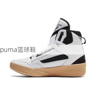 puma篮球鞋