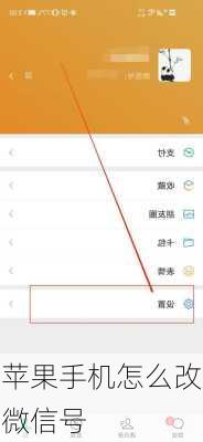 苹果手机怎么改微信号